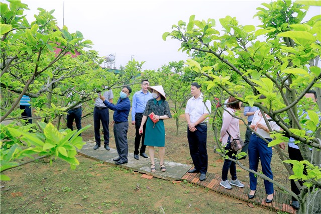Học viên lớp bồi dưỡng lãnh đạo, quản lý cấp phòng và tương đương năm 2021 nghiên cứu, khảo sát thực tế một số mô hình kinh nghiệm tiêu biểu trên địa bàn tỉnh